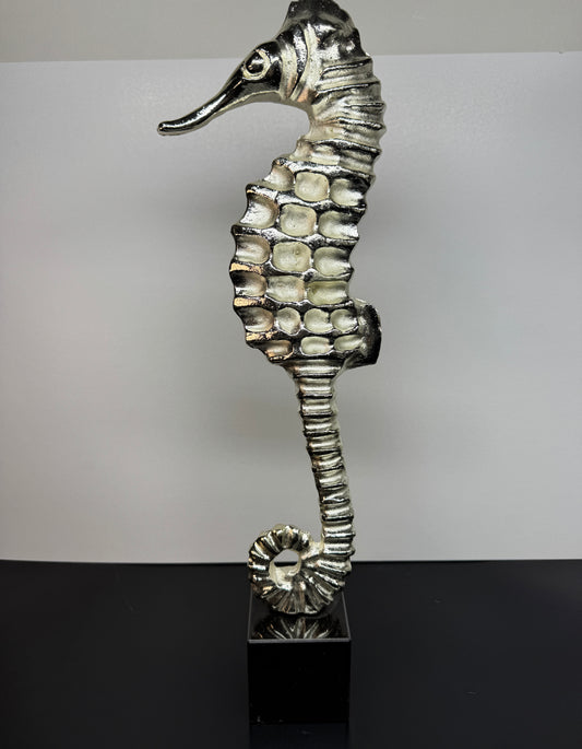 Marinus Silver1